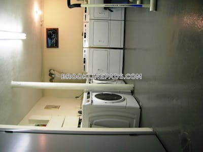 Brookline Apartment for rent 2 Bedrooms 1 Bath  Boston University - $3,700 50% Fee