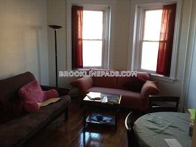 Brookline Apartment for rent 1 Bedroom 1 Bath  Washington Square - $2,500 No Fee