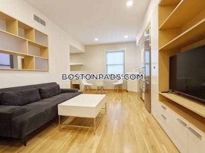 Cambridge Beautiful Spacious Harvard Square Studio  Harvard Square - $3,800 No Fee