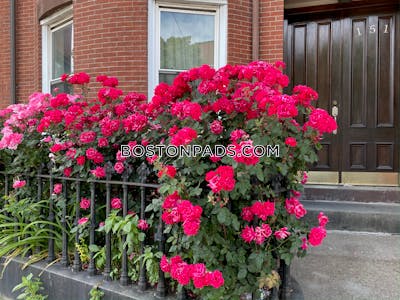 South Boston Studio 1 Bath on Dorchester St in BOSTON Boston - $1,980