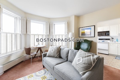 Back Bay Studio, 1 Bath Unit Boston - $2,700