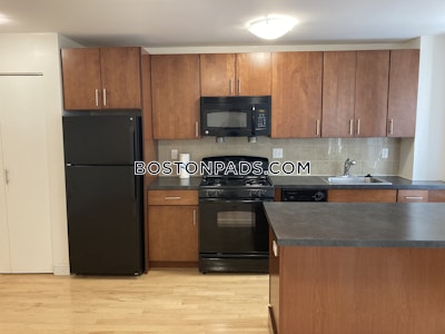 Brighton 1 Bed 1 Bath Boston - $2,849 No Fee