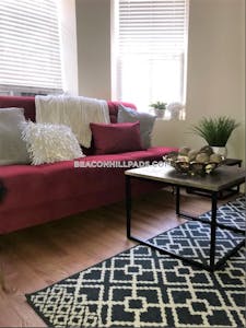 South End 0 Bed 1 Bath BOSTON Boston - $2,600 No Fee