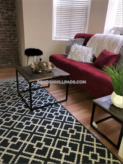 South End Apartment for rent Studio 1 Bath Boston - $2,600 50% Fee