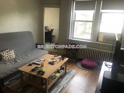 Brighton Apartment for rent 1 Bedroom 1 Bath Boston - $2,445 No Fee