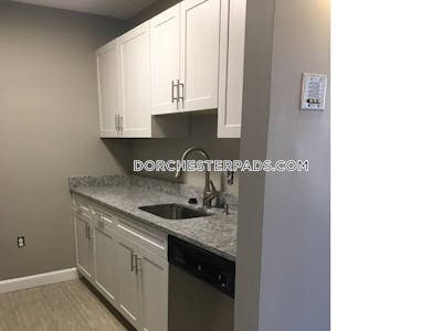 Dorchester Apartment for rent 2 Bedrooms 1 Bath Boston - $2,900