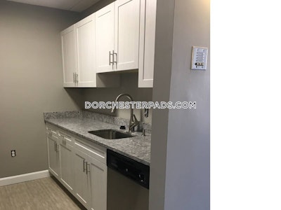 Dorchester Apartment for rent 2 Bedrooms 1 Bath Boston - $2,900
