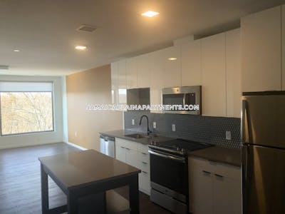 Jamaica Plain Apartment for rent 2 Bedrooms 1 Bath Boston - $4,907 No Fee