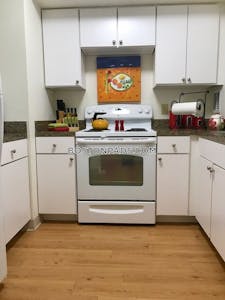 Northeastern/symphony 1 Bed 1 Bath Boston - $4,300