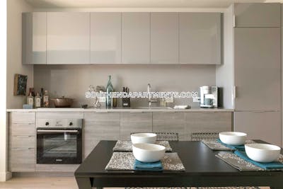 South End Apartment for rent Studio 1 Bath Boston - $3,345