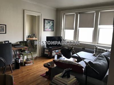 Brighton Apartment for rent 1 Bedroom 1 Bath Boston - $2,425 No Fee