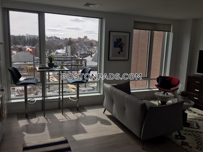 Brighton Apartment for rent 2 Bedrooms 2 Baths Boston - $4,360 No Fee