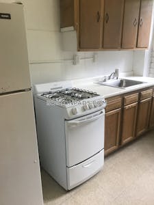 Brighton Apartment for rent 1 Bedroom 1 Bath Boston - $2,475 No Fee