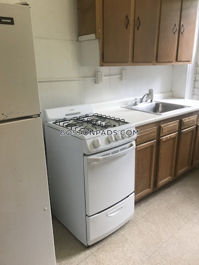 Brighton Apartment for rent 1 Bedroom 1 Bath Boston - $2,475 No Fee
