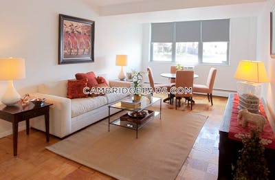 Cambridge Studio 1 Bath  Porter Square - $2,485 No Fee