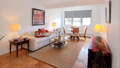 Cambridge Apartment for rent 1 Bedroom 1 Bath  Porter Square - $3,062 No Fee