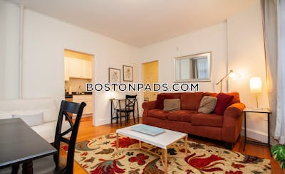 Brookline Apartment for rent 1 Bedroom 1 Bath Cleveland Circle - $4,800