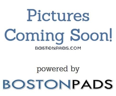 Allston Apartment for rent 3 Bedrooms 2 Baths Boston - $4,200