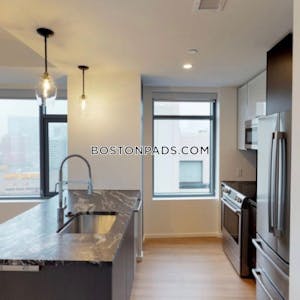South End Apartment for rent 1 Bedroom 1 Bath Boston - $4,917