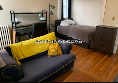 Allston Apartment for rent Studio 1 Bath Boston - $2,300