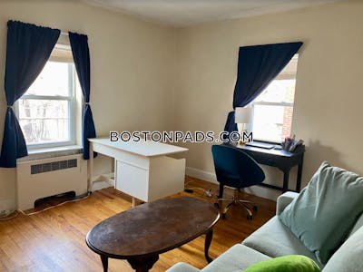 Brighton Apartment for rent Studio 1 Bath Boston - $1,700 50% Fee