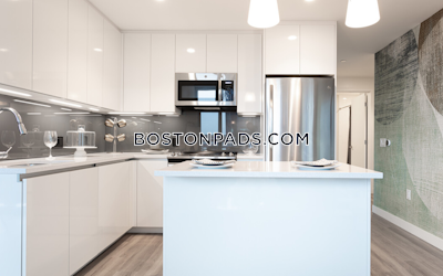 West End Apartment for rent 2 Bedrooms 2 Baths Boston - $10,503