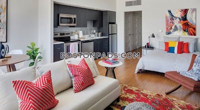 Allston 2 bedroom  Luxury in BOSTON Boston - $5,189