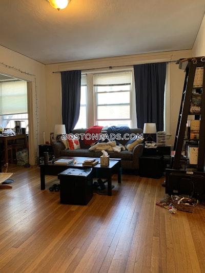 Brighton Apartment for rent 1 Bedroom 1 Bath Boston - $2,400