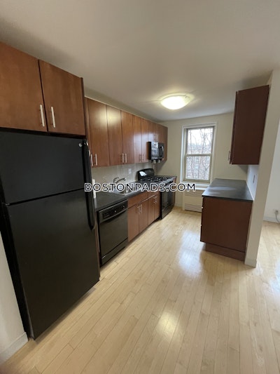 Brighton Apartment for rent 2 Bedrooms 1 Bath Boston - $3,491 No Fee