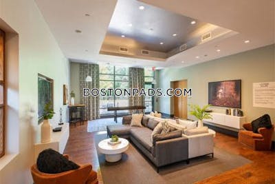 Jamaica Plain Apartment for rent 2 Bedrooms 2 Baths Boston - $7,782 No Fee