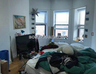 Northeastern/symphony 4 Beds 1 Bath Boston - $6,000