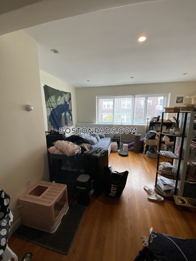 Allston Apartment for rent Studio 1 Bath Boston - $2,400 No Fee