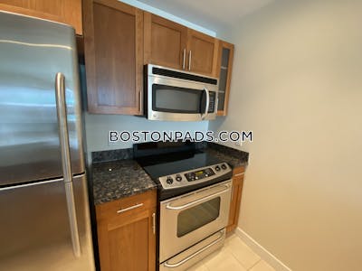 West End Apartment for rent 1 Bedroom 1 Bath Boston - $3,390