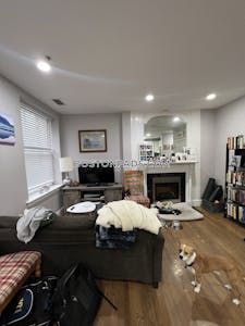 Downtown 1 Bed 1 Bath Boston - $3,400 50% Fee