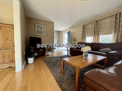 Arlington 3 Beds 1.5 Baths - $4,500