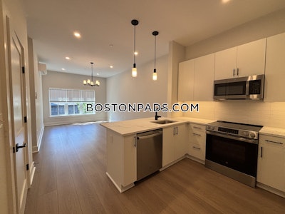 Brighton 1 bedroom 1 baths in BOSTON Boston - $3,800