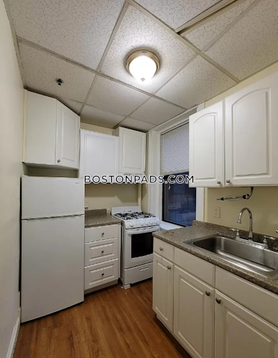Brookline Apartment for rent 1 Bedroom 1 Bath  Brookline Village - $2,400
