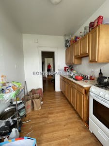 Brighton Apartment for rent 1 Bedroom 1 Bath Boston - $2,425 No Fee