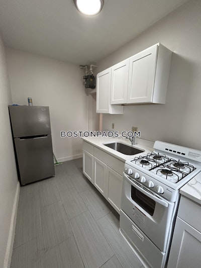 Allston Apartment for rent 1 Bedroom 1 Bath Boston - $2,250