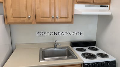 Cambridge Apartment for rent Studio 1 Bath Mt. Auburn/brattle/ Fresh Pond - $2,400