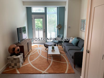 Dorchester/south Boston Border Apartment for rent 1 Bedroom 1 Bath Boston - $2,742