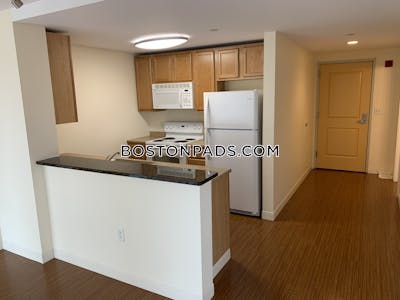 Dorchester Apartment for rent 2 Bedrooms 2 Baths Boston - $3,715 No Fee