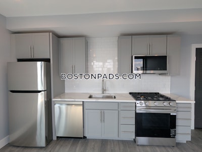 Brighton 2 bedroom 2 baths Luxury in BOSTON Boston - $4,250 No Fee