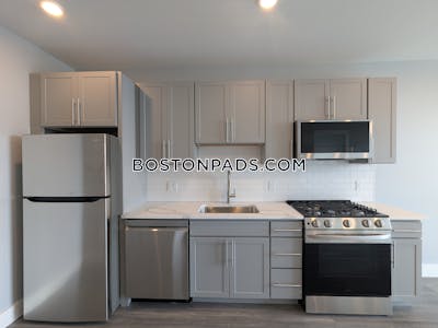 Brighton 1 bedroom 1 baths Luxury in BOSTON Boston - $3,600 No Fee