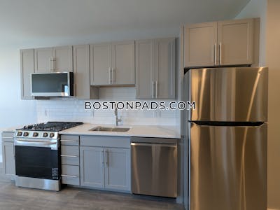 Brighton 1 bedroom 1 baths Luxury in BOSTON Boston - $3,525 No Fee