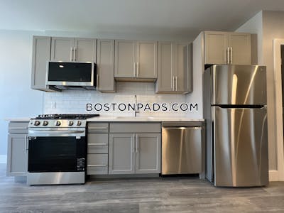 Brighton 1 bedroom 1 baths Luxury in BOSTON Boston - $3,600 No Fee