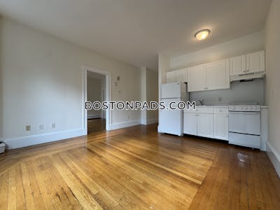 Brookline Apartment for rent 1 Bedroom 1 Bath  Washington Square - $2,595 No Fee