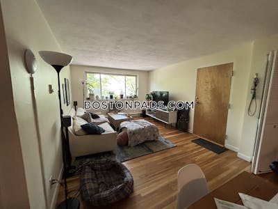 Brighton Apartment for rent 2 Bedrooms 1 Bath Boston - $3,100 No Fee
