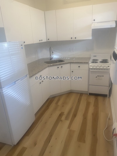Brighton Apartment for rent 1 Bedroom 1 Bath Boston - $2,100