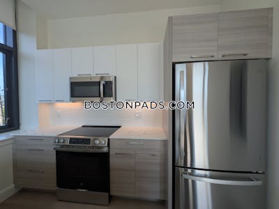Allston Apartment for rent 1 Bedroom 1 Bath Boston - $3,350 No Fee
